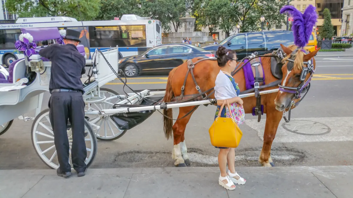 New York Carriage